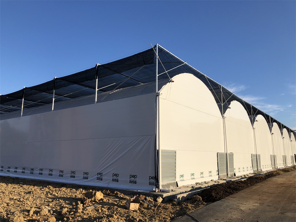 遵義食用菌棚項目